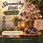 Stromeček štěstí: proč je oblíbeným malým dárkem